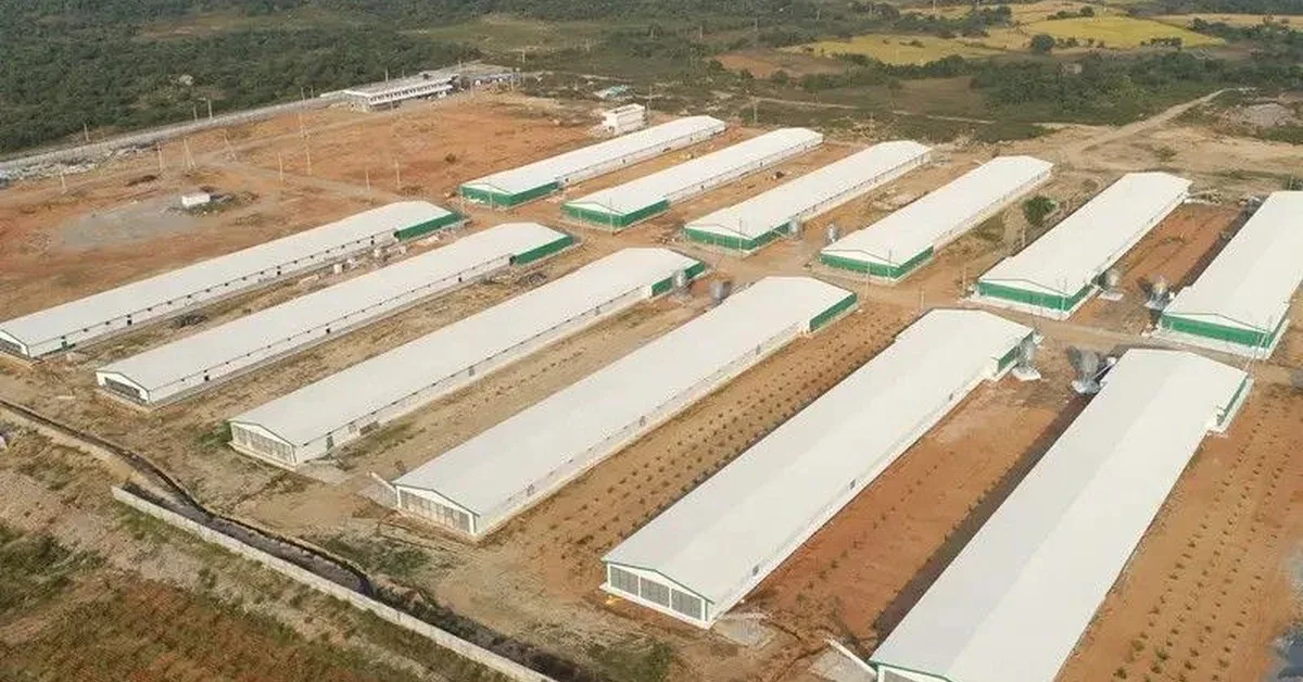 Goat Farm Construction project by PakNest Builders